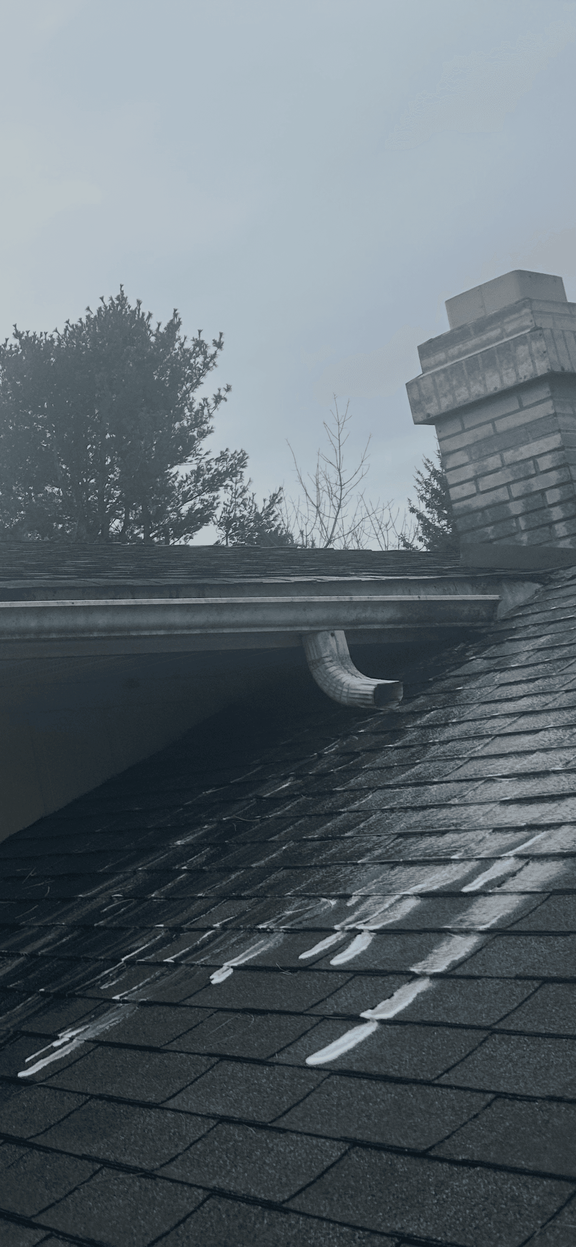 Roof Washing